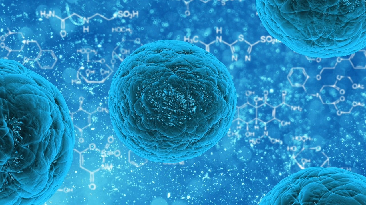odontologia biologica